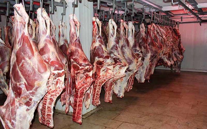 تایباد قطب تأمین گوشت قرمز و سفید خراسان رضوی